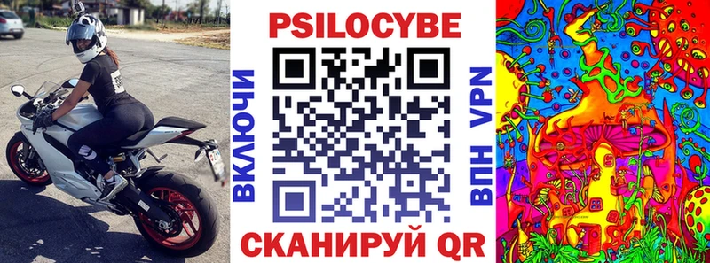 купить наркотики сайты  Алзамай  Галлюциногенные грибы Cubensis 